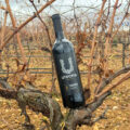 Pack 6 Uthopia CREACIÓN - Ribera del Duero